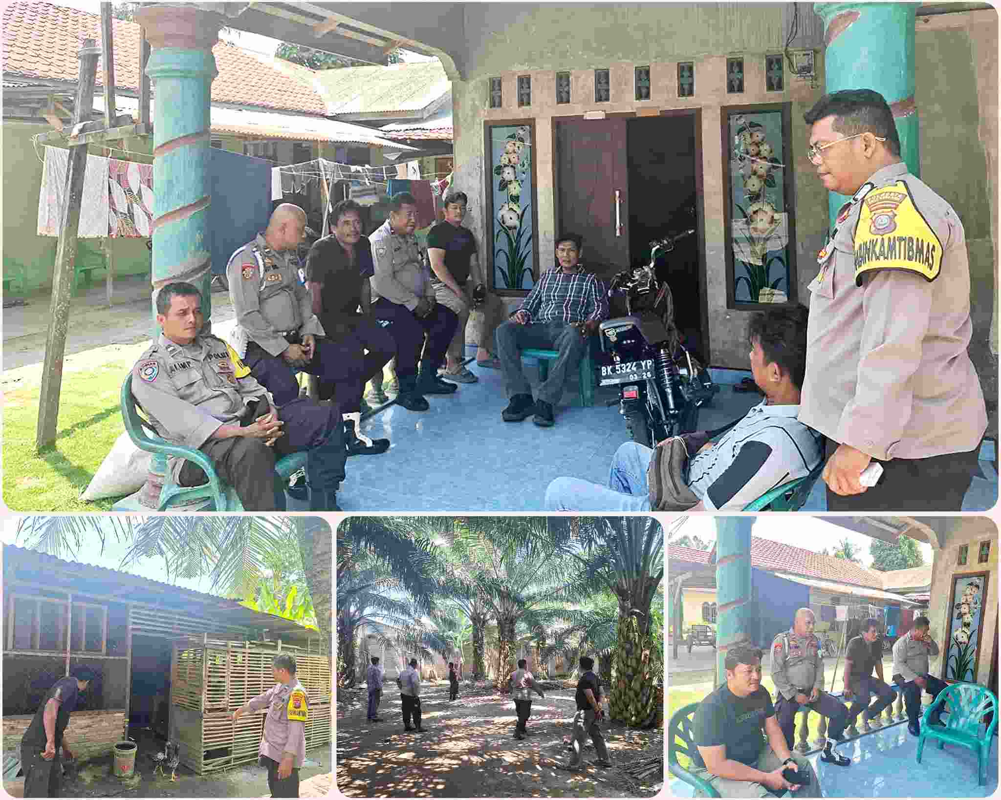 Polsek Pantai Labu Tindak Lanjuti informasi Media Terkait Judi Sabung Ayam