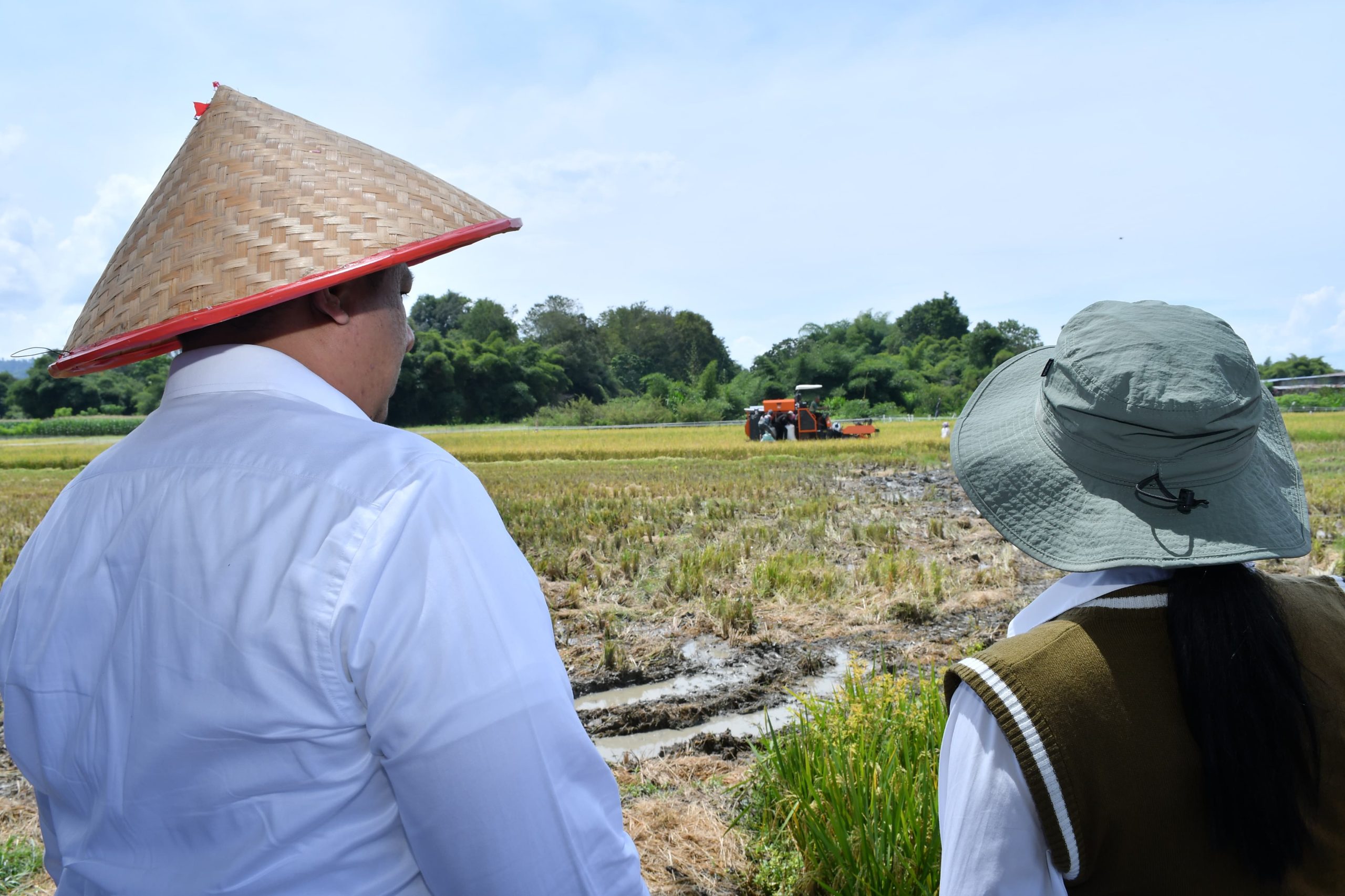 Panen Modern di Samosir: Vandiko Turun ke Sawah, Taksi Alsintan Jadi Harapan Baru Petani
